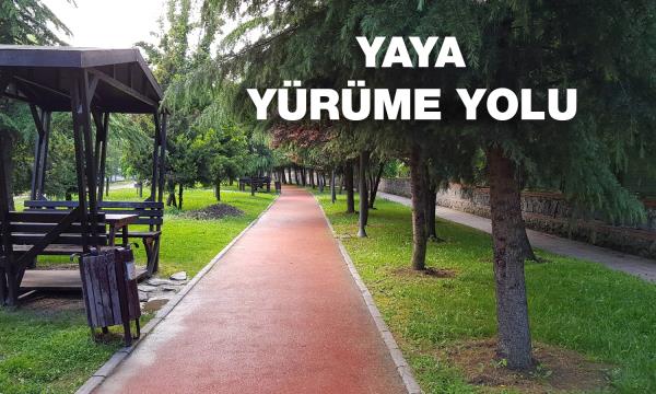 Yaya Yürüme Yolu